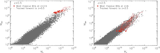 The red points and lines track the evolution of galaxy and black hole mass in the Illustris simulation for the most massive black holes at z = 2.5 tracked forward to z = 0.5 (left) and for the most massive black holes at z = 6 tracked forward to z = 2.5 (right). The background set of grey points trace the z = 0.5 (left) and z = 2.5 (right) galaxy populations in Illustris.