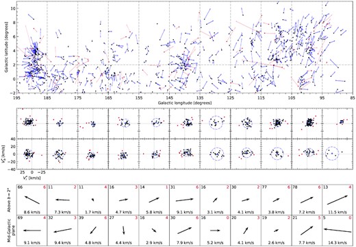 Kinematic analysis of the Cepheus spur. (top) A sky chart of the M and I catalogue stars inside the Cepheus spur oval selection of Fig. 5, with arrows showing the peculiar velocities in the plane of the sky. To calculate the velocities we first corrected for the peculiar velocity of the Sun with respect to the Local Standard of Rest and then for a flat Galactic rotation curve model. The red dots and arrows are considered kinematical outliers (possible runaways) and are excluded from the analysis. The grey dashed lines show the limits of the bins used to separate the mid-Galactic plane (|b| < 2°) and the Cepheus spur (b > 2°) above it in 11 longitudinal tiles. (middle) A representation of the longitudinal and latitudinal components of the peculiar velocity in the 22 bin selections defined in the top chart. The red dots are again the cases excluded during the robust mean calculation, while the black dots are used to give an average motion for each bin, which is represented with a blue star. The blue dashed circles correspond to 3 standard deviations from the selected sample of each bin. (bottom) A representation of the robust average corrected transverse velocities of each bin. For each cell the number of stars used for the final average is shown in black, and the number of outliers excluded from the analysis in red. In the lower part of each cell the absolute value of the robust average corrected transverse velocity is given.