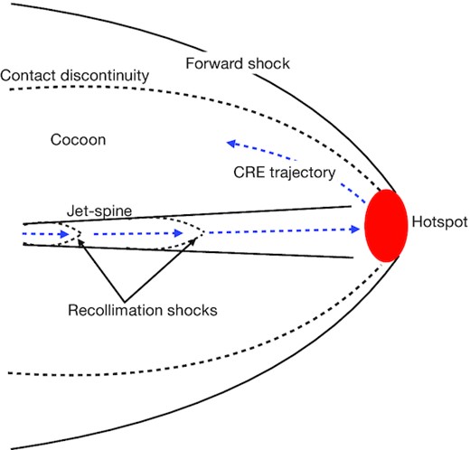 A schematic showing the structure of the jet spine, the cocoon surrounding it, the contact discontinuity, and the forward shock. The non-thermal electrons (called here as CREs) are expected to travel first through the jet spine up to the hotspot and flow back down into the cocoon. The CREs are first accelerated at the sites of recollimation shocks (Norman et al. 1982; Komissarov & Falle 1998) inside the jet before they reach the strong shock at the hotspot.