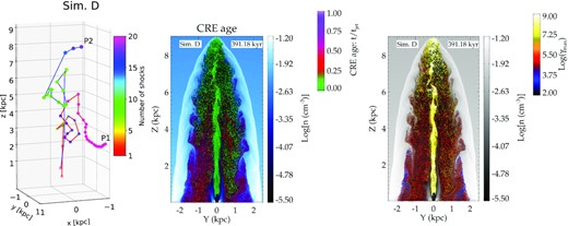 Left: Tracks of two representative CREs in simulation D. The track of P1 is shown by a red line connecting its locations at different times. Similarly, the track of CRE P2 is represented by the blue line connecting the dots. The colour of the dots denotes the number of shock crossings experienced (as also in Fig. 4). Middle: The density slice for simulation D with particle colour showing age since last shock, as in the lower panel of Fig. 5. Right: Density slice, with particle colour showing log (γmax), as in the upper panel of Fig. 5. A larger portion of the cocoon has freshly shocked particles due to turbulence generated shocks in the cocoon depicted in the left-hand panel.