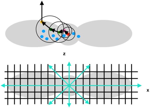Simplified sketches of the particle-based (top) and grid-based (bottom) approaches for the optical depth calculation. Shown in grey is a neutron star remnant surrounded by a disc. In the particle-based model, each particle has a smoothing length defining the radius of each circle. The latter encloses the particle neighbours. Unlike the grid-based approach, where outgoing radial paths are a priori selected for calculating the optical depth, in the particle-based case the path along which neutrinos move is defined by the density distribution, and therefore it can be non-straight.