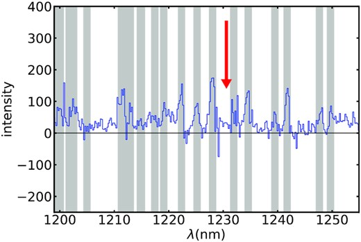 The portion of the FLAMINGOS2 spectrum where Lyman-α may lie according to the photometric redshift uncertainties for UVISTA-1212. No convincing emission line is found. The grey rectangles show the position of sky lines.