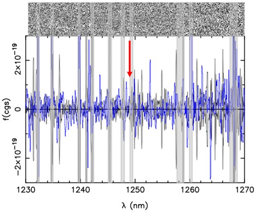 The portion of the X-Shooter spectrum where Lyman-α may lie according to the photometric redshift uncertainties for GS-z9-1. No convincing emission line is found. The blue line shows the 1D extracted spectrum at the position of the candidate, grey regions show the 1σ noise extracted in the same sized aperture, and light blue rectangles show the position of sky lines. The red arrow displays the position of Ly α at zphot = 9.26.