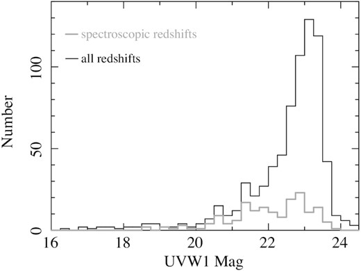 UVW1 magnitude distribution of extragalactic UVW1 sources. The bold grey histogram corresponds to the sources with spectroscopic redshifts, while the black histogram corresponds to sources with spectroscopic or photometric redshifts.