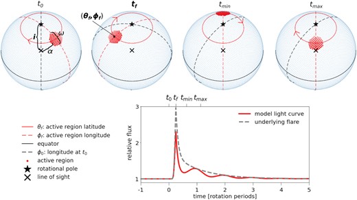Flare modulation model. From left to right, the top row shows a clockwise rotating star (blue dots) with a flaring region (red dots), from the start of observation at t0 to the peak flare time tf, and further to the flaring region being rotated to the stellar far (tmin) and near (tmax) sides. The angular distance between the rotational pole (black star) and the intersection of the line of sight with the centre of the star (black cross) is the inclination i. α is the angular distance of the flaring region to the line of sight, and ω is the full opening angle of the circular flaring region. The depicted configuration results in the observed light curve (red line) in the bottom panel. The underlying flare model is shown as a grey dashed line in the same panel.