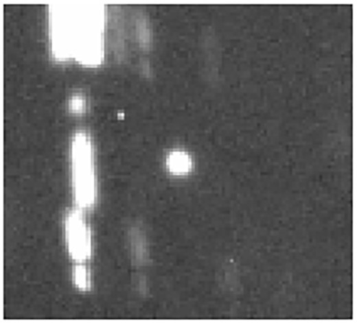 Co-addition of 23 frames obtained on 2019 December 30. No cometary activity is visible.