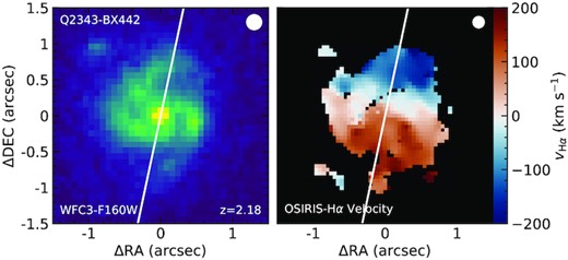 Left: HST WFC3-F160W image of Q2343-BX442. Right: H α velocity map of Q2343-BX442 by Law et al. (2012a). The $\rm PA_0$ (white solid line) is defined to be perpendicular to its rotational axis.