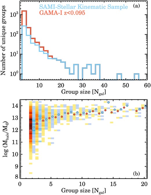 Group properties of GAMA and SAMI galaxies at z < 0.095. From the normalized distribution of unique groups as a function of group size (panel a) we find that galaxies in the SAMI kinematic sample reside in groups with a higher occupancy. Panel (b) compares group halo mass and number of group members for GAMA (orange squares, where darker grey means higher density of galaxies) and SAMI (blue squares, offset by Ngal + 0.5); orange and blue circles indicate the median halo mass for a given group occupancy for the GAMA and SAMI sample, respectively.