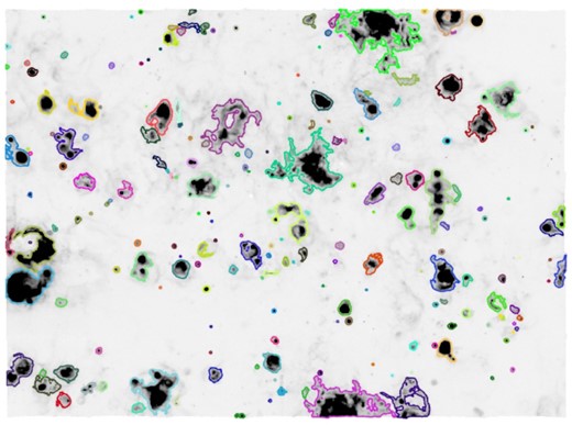 Continuum-subtracted MUSE H α map (scaled from 0 to 2 × 10−17 erg s−1 cm−2), the coloured contours correspond to the 204 emission line regions identified as described in Section 3.1 (colours have no purpose other than facilitating the visual distinction between regions). Emission line region spectra are extracted based on the shown contours.
