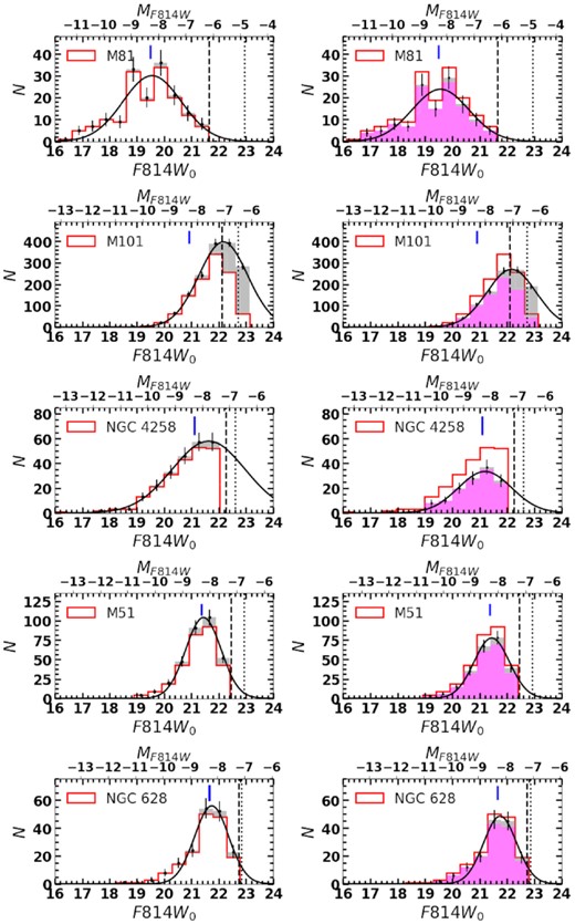 Best lognormal fits to the observed F814W-band luminosity functions of GCs in our five sample galaxies. The data before (red histograms) and after (magenta-filled histograms) correction for possible contamination from reddened young SSCs are shown in the left-hand and right-hand panels, respectively. In each panel, fits were carried out to the completeness-corrected data set (grey-filled histograms). Poisson error bars ($\sqrt{N}$) are indicated. The vertical dot and dashed lines indicate the magnitude at which the detection is 50 per cent complete at low and high surface brightness parts of the galaxies, respectively. For reference, the turnover magnitude for the MW GCs is indicated in each plot by the blue vertical bar. The horizontal axes in the bottom and top contain observed and absolute magnitudes, respectively.