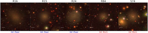 Composite colour cutouts around each UDG from the Subaru / Hyper-Suprime Cam g, r, i-band data. North is up and east is left. The white bar in each image indicates a 5″ scale. Three UDGs, R15, S74 and R84, have central compact sources that are likely galaxy stellar nuclei. We arrange the UDGs, left to right, in order of increasing GC richness. The UDGs S74 and R84 appear to contain additional compact sources and are classified as GC-rich UDGs. Conversely, R15, R16 and R24 appear associated with fewer compact sources and are classified as GC-poor.