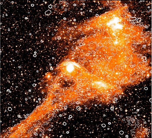 The SuperCOSMOS H α image, overlaid with the contours from the MeerKAT L-band image. The radio contours are shown at levels of 50, 100, and 200 $\mu$Jy, calculated after smoothing the image by a factor 4. These levels are chosen to highlight the diffuse structures in the radio image. The large-scale H α and radio structures appear to trace each other closely throughout the field.