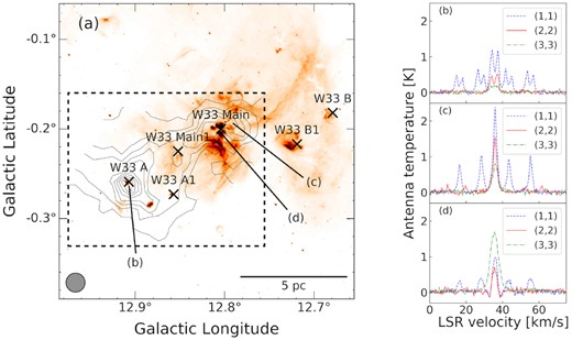 (a): The NH3(1,1) integrated intensity map of the W33 complex in contours over the Spitzer-GLIMPSE 8.0-$\mu$m image. The lowest contour and contour steps are 0.8 K km s−1 and 1.2 K km s−1 (30σ), respectively. The cross marks indicate the dust clumps reported by the ATLASGAL 870-$\mu$m survey (e.g. Contreras et al. 2013; Urquhart et al. 2014). The dashed rectangle shows our observing area. The NRO 45-m beamsize (FWHM) is indicated by the grey circle shown in the lower left corner in panel (a). The (b)–(d) labels indicate the positions for the profiles shown in panels (b)–(d).