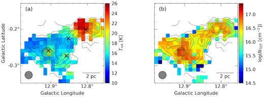 Spatial distributions of the physical parameters described in Section 3.3. The plotted values are representative along the velocity axis. (a) The rotational temperature; (b) the total column density of NH3 gas. Contours indicate the NH3(1,1) integrated intensity map, which is the same as in Fig. 2(a). The NRO45 beam size is indicated by the grey circle shown in the lower left corner of each panel. Cross marks are the same as inside the dashed rectangle in Fig. 1(a).