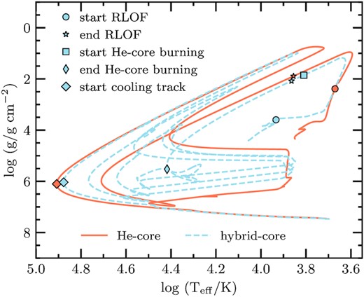 The Kiel diagram showing the formation and the cooling evolution of a 0.338 M⊙ He- (solid orange line) and hybrid-core (dashed blue line) WD. The initial binary parameters are Mdonor = 1.3 M⊙, Maccretor =1.2 M⊙, Pinitial = ∼16.982 d for the He-core model, and Mdonor = 2.3 M⊙, Maccretor =2.0 M⊙, Pinitial = ∼1.990 d for the hybrid-core model, at an initial metallicity of Z= 0.01. In both cases, the accretor is treated as a point mass. The evolutionary tracks are computed from ZAMS until the effective temperature of the WD reaches 5 000 K. The symbols mark various stages of evolution. The beginning and the end of the mass-transfer phase are represented by the circle and star symbol, respectively, the beginning and the end of the core-He burning phase (in the case of the hybrid-core sequence) are depicted by the square and thin diamond symbol, respectively, and finally the diamond symbol represents the beginning of the cooling track, i.e. the point when the evolutionary track reaches its maximum effective temperature.