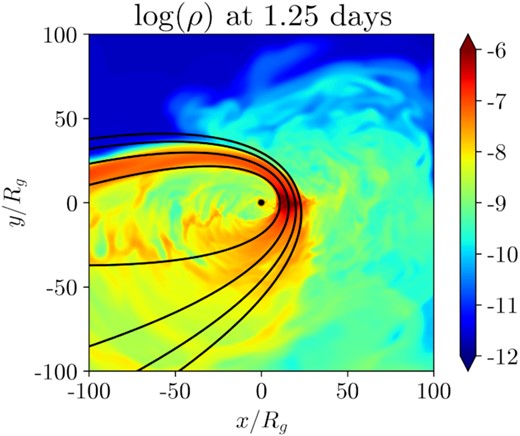 A contour plot of the log of rest mass density in the equatorial plane at 1.25 d (1725Rg/c; same as the top right-hand panel of Fig. 3) with equatorial geodesics of various pericentre radii. The geodesics diverge after pericentre, demonstrating the strong effect of differential precession in expanding the stream in the deeply penetrating (β = 7) and high-spin (a = 0.9375) encounter we consider.