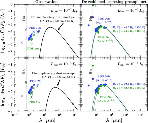 Similar to Fig. 5, but now modelling the case where the PDS 70 planets are surrounded by dusty spherical envelopes instead of circumplanetary discs. Crosses in the left-hand panels mark the observed SEDs, identical to those in Fig. 5. In the right-hand panels we show these data de-reddened, adopting a power-law extinction curve chosen so that the extinction-corrected luminosity in the U-band + H α is comparable to that in the near-infrared, with both summing to a given bolometric luminosity Lbol ($10^{-4} \, \mathrm{L}_\odot$ for the bottom panels, $10^{-3}\, \mathrm{L}_\odot$ for the top). These choices are intended to describe protoplanets which derive a large fraction of their luminosity from ongoing accretion, producing short-wavelength ultraviolet/optical radiation in an accretion shock that heats the planetary layers below and the circumplanetary envelope above. The blackbody fits to the de-reddened near-infrared SEDs (right panels) suggest the accretion shock lies just above ∼2–5 RJ. The circumplanetary envelope intercepts nearly all of the outgoing radiation and re-radiates it longward of 10–30 μm wavelength on size scales comparable to the Hill sphere, as shown by the blackbodies with luminosities equal to Lbol running through the mm-wave fluxes (left-hand panels). The large de-reddened U-band and optical luminosities in this figure (10−4, $10^{-3} \, \mathrm{L}_\odot$) are consistent with planetary accretion at Bondi-like rates and mass doubling times tdouble comparable to the system age tage.