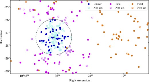 Position of galaxies with c$z\lt 7 000$ km s−1 in the 60-square-degree WALLABY footprint. H i detections and non-detections are indicated by the filled circles and unfilled squares, respectively. The cluster, infall, and field galaxy populations defined using the phase space diagram in Fig. 2 are coloured blue, purple, and orange, respectively. The grey dashed circle indicates R200 (i.e. the virial radius) of the Hydra I cluster (1.44 Mpc) and the grey star indicates the positions of NGC 3311 and NGC 3309 (i.e. the approximate centre of the cluster).