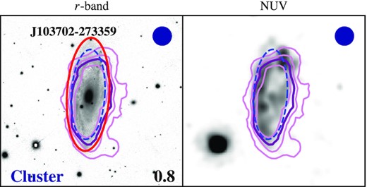 Similar to Fig. 9, showing the galaxy with the most truncated H i disc (dHI/dopt = 0.8) in our sample: WALLABY J103702−273359 (NGC 3312). The additional pink contours show H i column densities of 5, 20, and $50\times 10^{19}\, \rm {cm}^{-2}$. Wang et al. (2021) find this galaxy to be experiencing ram pressure stripping, which is supported by the observed H i morphology and NUV map (i.e. NUV emission coincident with the compression of H i column density contours on the left (eastern) side, right panel).