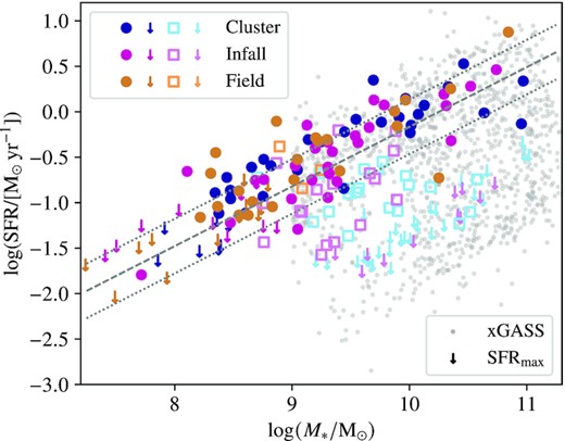 SFR versus stellar mass (M*) for galaxies in the Hydra field both with and without H i detections. The colours are the same as in Fig. 4. The H i detections and non-detections with measured SFRs are shown by filled circles and unfilled squares, respectively. Upper limit SFRs (SFRmax) are indicated by downward arrows. The grey points are the xGASS sample. The star-forming main sequence defined by Janowiecki et al. (2017) using xGASS is shown by the dashed grey line with the dotted grey lines indicating ±0.3 dex above and below the main sequence.
