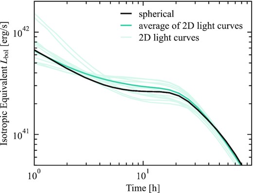 Comparison of spherically averaged light curves for the model with dynamic r-process heating. The black line shows the light curve obtained by spherically averaging the sedona model before the radiation transport. At a few hours, this is 20 per cent dimmer than the average of the 2D light curves shown in Fig. 7. Light curves from individual viewing angles are shown in light teal, while the average is in dark teal.