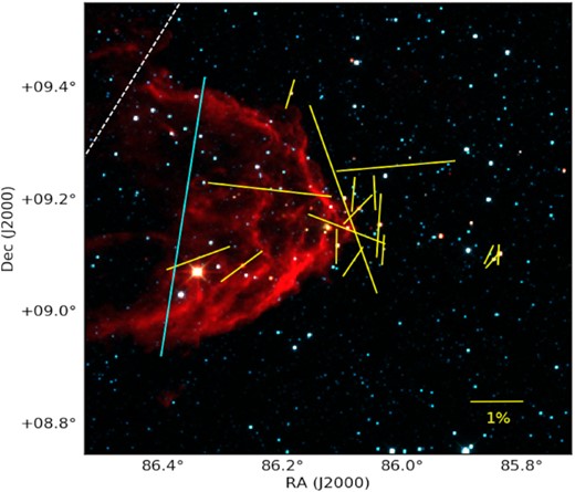 Polarimetric results of the candidate YSOs are overplotted on the WISE colour composite diagram using 3.6 (blue), 4.5 (green), and 12 (red) μm images. The lines in yellow represent the polarization vectors of the observed candidate YSOs. The mean direction of the projected magnetic field (obtained by Neha et al.) is indicated by a line drawn in cyan. The white dashed line represents the Galactic plane. A vector with 1 per cent polarization is shown as a reference at the bottom right corner.