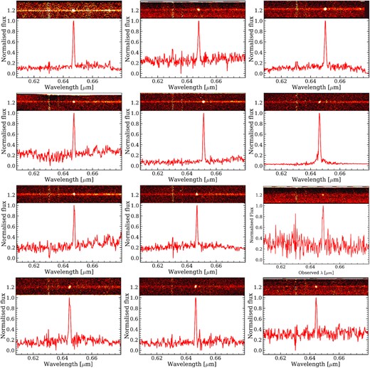 Example 1D and 2D spectrum.