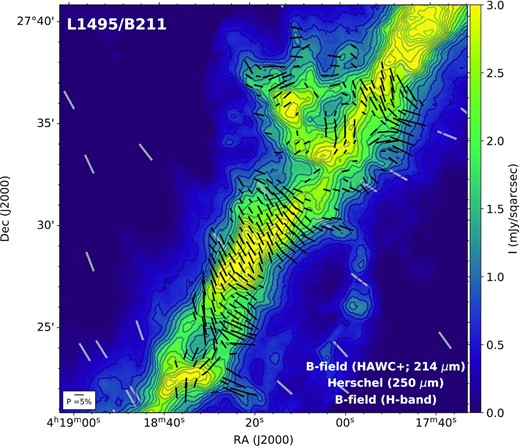 The 250 $\mu$m total surface brightness from Herschel/SPIRE (colour scale) with the magnetic field morphology as inferred from the 214 $\mu$m HAWC + (black lines) and H-band (grey lines; Chapman et al. 2011) observations. Contours start at 0.5 mJy sqarcsec−1 and increase in steps of 0.25 mJy sqarcsec−1.