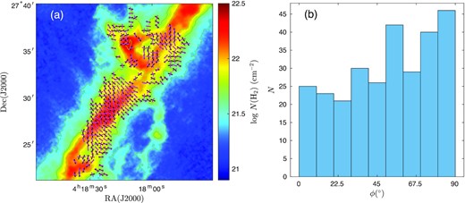 (a) Orientations of the inferred magnetic field (black) from HAWC + and of the surface density gradient vectors (magenta) are plotted over the Herschel surface density. (b) Histogram of the distribution of angles between the inferred magnetic field directions and the tangents of the contours of surface density.