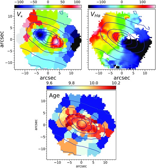 Stellar and gas velocity maps (upper panels) compared to the logarithmic age map (lower panel) of a CRD (MaNGA ID: 1-174947). Velocities are in km s−1. Age values are calculated using equation (8). In this example, we can see an abrupt change in age, coinciding with the inversion of the stellar rotation. The stellar rotation is inverted halfway from the third to the fourth isophote, starting from the center.The outer disc, which is corotating with the ionized gas, is also the younger one.