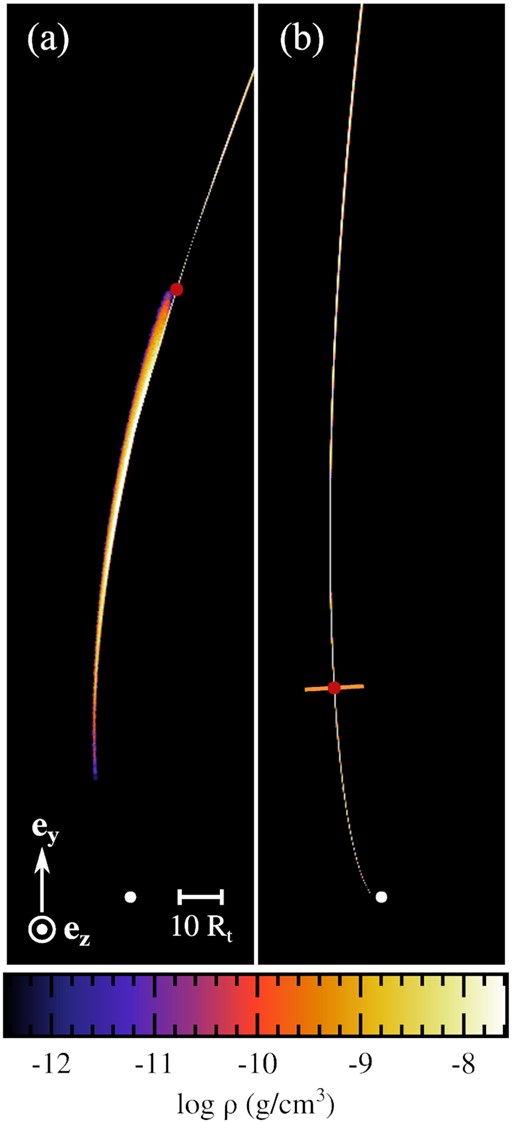 Snapshots taken from the preliminary three-dimensional simulation of stellar disruption, showing the gas density inside the tip of the stream of debris as it falls back towards the black hole at times t/tmin = 0.59 (left-hand panel) and 2.2 (right-hand panel). The value of the density increases from black to white, as shown on the colour bar. The white segment on the first snapshot indicates the scale used and the orientation is given by the white arrows. The red dot indicates the location of the stream element selected to follow its transverse evolution at later times as it continues to move towards the black hole. Its properties are recorded at the time of the second snapshot when it reaches the surface depicted with the orange segment that is orthogonal to the longitudinal stream direction.
