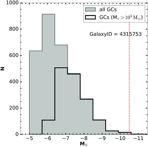 The V-band GC luminosity function of one S0 galaxy from our selected sample. The grey histogram is obtained without adopting any stellar mass cut. The black histogram is obtained when considering only the GCs with $\mathrm{M_{*}}\gt 10^{5}\, \mathrm{M_{\odot }}$. The vertical red-dashed line represents the V-band magnitude of the most luminous GCs included in our GC systems and is chosen to include up to ω-Cen-like systems (i.e. MV ≃ −10.3), which are the most luminous in the Milky Way.