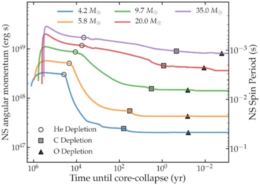 The angular momentum (AM) content of the inner $1.6 \, M_\odot$ of helium stars of various masses, as a function of time. The right axis shows the corresponding NS rotation period. Each of these models is initialized with an orbital period of $P_{\rm orb} = 0.5 \, {\rm d}$. The core AM initially increases due to tidal spin-up, but it subsequently decreases as the core contracts and AM is transferred to the outer layers.