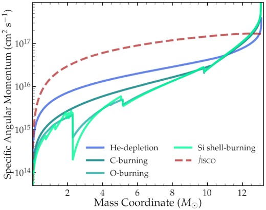 Spherically averaged specific angular momentum as a function of mass coordinate within our $M_{\rm He} = 14 \, M_\odot$ ($M_{\rm ZAMS} = 40 \, M_\odot$), Z = 0.002 helium star with orbital period $P_{\rm orb} = 0.5 \, {\rm d}$. Lighter lines correspond to progressively later evolutionary stages, while the red dashed line corresponds to the specific angular momentum needed to circularize outside a black hole formed from the interior layers.