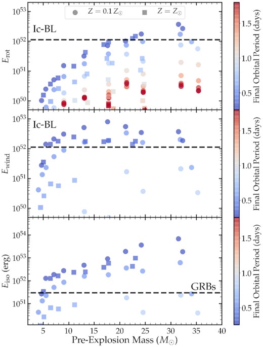 Energetics of our models as a function of pre-explosion mass, with the same symbols as Fig. 3. Bottom: Isotropic GRB energy Eiso associated with accretion on to a newly formed BH for each of our models, as described in the text. Models with $E_{\rm iso} \gtrsim 3 \times 10^{51} \, {\rm erg}$ are good candidates to produce detectable GRBs. Middle: Energy released from an accretion disc wind in the case of BH formation. Top: Rotational energy Erot upon formation of a $1.6 \, M_\odot$ NS. Rotational or disc wind energies larger than the dashed line may be capable of powering a Ic-BL SN via magnetar spin-down or BH accretion, respectively. Our models struggle to power Ic-BL SNe via magnetar spin-down, unless there is significant magnetar spin-up due to fallback accretion (see the text).