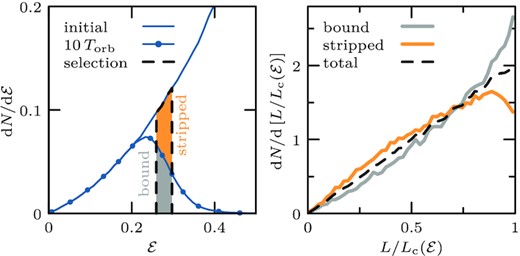Left-hand panel: Like Fig. 4, in linear units, showing the initial energy distribution of subhalo model h-i, and that of particles that form the bound remnant after 10 orbital periods (blue connected dots). Half of the particles within the highlighted energy range (black dashed selection) get stripped (orange area), while the other half remains bound (grey area). Right-hand panel: Angular momentum distribution dN/dL of particles within the energy selection shown in the left-hand panel. The angular momentum is expressed in units of the angular momentum of a circular orbit Lc of energy ${\mathcal {E}}$. The angular momentum distributions are normalized to integrate to N = 1. The three distributions are remarkably similar.