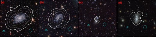 Examples of galaxies of different morphological types detected within MIGHTEE-H i. Panel (a): an undisturbed spiral galaxy at z = 0.033; panel (b): an irregular galaxy at z = 0.044; panel (c): an early-type galaxy (the northern counterpart) at z = 0.037; panel (d): a merging system at z = 0.032. The optical cut-outs are from the HSC gri images, with the H i column density contours overlaid in white. The 1.25 × 1020 atoms cm−2 (1 $\rm M_{\odot }\, pc^{-2}$) contour is shown in bold. Thin contours correspond to 3, 6, 10, 15 × 1020 atoms cm−2 for panels (a) and (b), 2 × 1020 atoms cm−2 for panel (c), and 2, 3, 4 × 1020 atoms cm−2 for panel (d). A 10 arcsec scale bar and the synthesized beam size are displayed in each panel, in which panel (c) has a slightly different angle due to it being from a different field than the other panels.