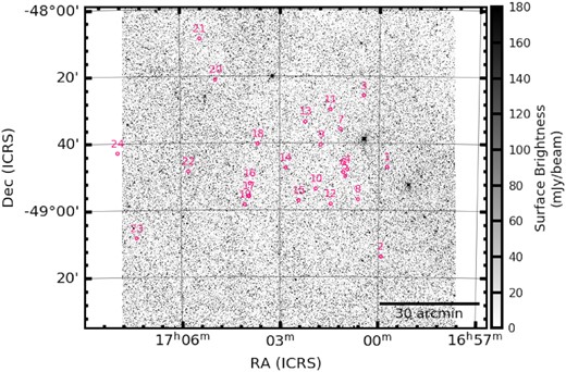 Deep MeerLICHT q-band image including the long-term variable sources.