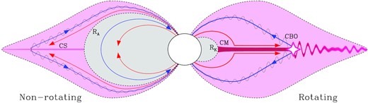 Schematic of the proposed interpretation. Pink-shaded regions indicate magnetic field lines contributing plasma to the electron acceleration region; grey-shaded regions indicate magnetospheric regions isolated from the locus of electron acceleration. In the non-rotating case (meaning that rotation is dynamically unimportant), plasma in the inner magnetosphere is in dynamical equilibrium, with upflow (red arrows) and downflow (blue arrows) occurring at the same rate. Beyond the Alfvén radius RA, corotation ceases, and ram pressure from the wind stretches magnetic field lines, leading to the formation of a CS, which accelerates electrons to relativistic velocities. The electrons return to the star, along magnetic field lines, leading to the emission of gyrosynchrotron radiation. The inner magnetosphere is entirely isolated from the CS, as all plasma flow is internal. By contrast, in the rotating case, centrifugal support of plasma above the Kepler corotation radius RK leads to the formation of a CM, in which plasma accumulates to high density (below RK the magnetosphere remains dynamical, as in the non-rotating case). When gas pressure overloads the ability of the magnetic field to confine the plasma, plasma is ejected outwards by a CBO event. Magnetic reconnection during CBO leads to flaring, which accelerates electrons to high energies (indicated by the starburst), thereby providing the source electrons to populate the radio magnetosphere. Note also that the fraction of the wind plasma captured by the CM is much higher than that captured by the CS in the non-rotating case.