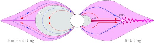 Schematic to contrast the previous Trigilio et al. (2004) CS model for electron acceleration and radio emission (left) with our proposed CBO model for electron acceleration from CBO-driven magnetic reconnection events (right). Pink-shaded regions indicate magnetic field lines contributing plasma to the electron acceleration, while grey shading indicates regions isolated from the locus of electron acceleration. A key distinction regards the lack of a dynamical role for rotation in the CS model, in contrast to the inferred empirical dependence on rotation, which is well matched in the CBO model. Figure adopted from fig. 8 of Paper I, which contains further details on the schematic.