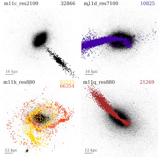 Tidal streams at z = 0 originating from stripped satellites around LMC-mass hosts. Small, black dots are star particles belonging to the host galaxy at z = 0, while thicker dots are the present-day locations of star particles belonging to satellites of the corresponding colour at their first infall times. We find coherent stellar streams in all hosts with EQSs, and none in hosts without EQSs. It is unlikely that the quenching is a direct result of this tidal stripping, but these could be correlated as a result of each effect’s individual dependence on satellite mass (coherent tidal streams require sufficiently many stars to strip – as well as late(r) infall times – while environmental quenching requires sufficiently high mass as to not be quenched by reionization heating).