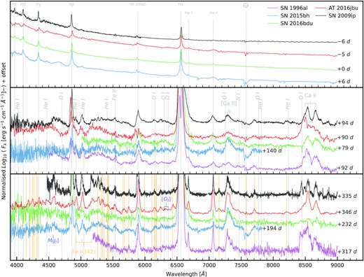 Spectral comparison of SN 2009ip-like transients around Event B peak (top), 3 months after Event B (middle), and late-time spectra around 1 yr later (bottom). We include several strong Fe ii emission lines in the bottom panel as orange vertical lines. We note the remarkable similarities between AT 2016jbu and other SN 2009ip-like transients at late times.