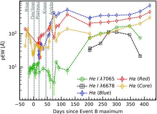 Evolution of pEW for $\mathrm{ He}\, \small{\rm I}~\lambda ~6678, \lambda ~7065$ and H α components. The He i emission appears to be roughly constant until the knee/ankle stage when it increases rapidly. After ∼+ 300 d the pEW of He i again begins to decrease. The measurement of pEW is based on a single emission component fit which provides a reasonable fit at late times. $\mathrm{ He}\, \small{\rm I}~\lambda ~6678$ is not plotted for t < 220 d due to its low pEW and contamination from H α.