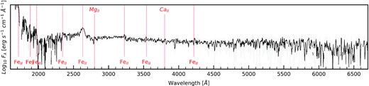 Swift + UVOT spectrum for AT 2016jbu taken on 2017 January 22 (MJD: 57775, Phase: −18 d). Wavelength in given in rest frame and the spectrum is corrected for Galactic extinction (AV = 0.556 mag). The spectrum is given in black with the grey shaded region showing the uncertainty. The trough around 2000 Å is likely noise which is likely exacerbated by our extinction correction.