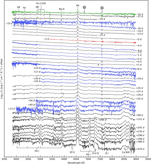 Spectral evolution of AT 2016jbu. Wavelength given in rest frame. Flux given in log scale. Prominent spectral lines and strong absorption bands are labelled. Colours instruments used (see Table 1); black: NTT+EFOSC2, blue: FTS + FLOYDS, red: WiFeS, green: DuPont. Spectra marked with an asterisk have been smoothed using a Gaussian filter of FWHM 1 Å.