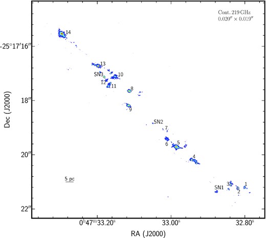 Continuum map at 219 GHz of the NGC 253 nuclear region with a resolution of 0.020 arcsec × 0.019 arcsec above 3σ219GHz (σ219GHz = 13 $\mu $Jy). Labelled are the proto-SSCs studied in Rico-Villas et al. (2020).