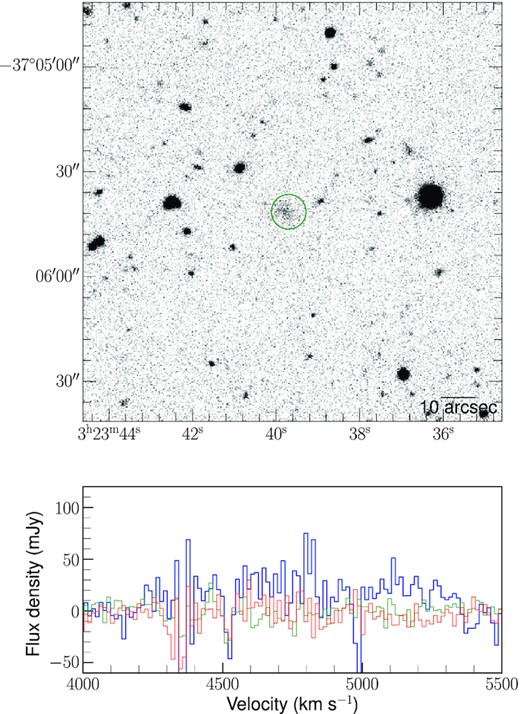 NGC 1316-C1 (RA 03:23:39.7 Dec. −37:05:41.5). Top: DES image with green circle indicating the galaxy. Bottom: HIPASS spectrum of the target galaxy. Spectra in green and red are extracted from regions 1° away from the galaxy. The spectrum is barely a 2σ signal and cannot be unambiguously claimed as a detection.