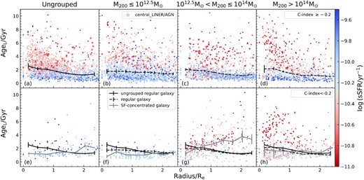 AgeL as a function of galactocentric radius in four halo mass intervals colour-coded by total sSFR. The top row shows regular SF galaxies with C-index ≥ −0.2. The bottom row shows SF galaxies with C-index < −0.2. In each panel, we create 8 bins from 0–2.5 Re and plot the median AgeL of each bin with bootstrapping uncertainties. The black lines are from regular galaxies and the grey lines are from the concentrated galaxies. The solid black line is the median from the ungrouped regular galaxies, shown in panels e–h. The dashed black lines are the medians from the group/cluster regular galaxies and are also shown in the concentrated galaxies panels in the corresponding environment. Regular galaxies in all environments show older centres with younger discs. SF-concentrated galaxies in high-mass groups show older discs than cluster galaxies.