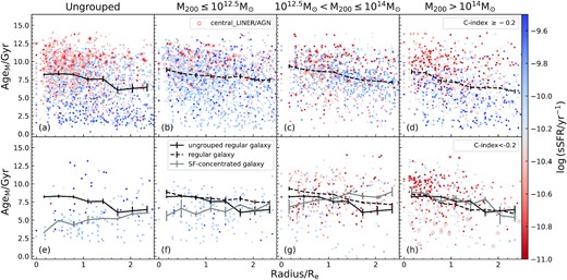 AgeM as a function of galactocentric radius in four halo mass intervals colour-coded by total sSFR. In each panel, we create 8 bins from 0 - 2.5 Re and plot the median AgeM of each bin with bootstrapping uncertainties. The lines and error-bars are in the same formats as Fig. 13. The AgeM radial profile is broadly consistent with AgeL radial profile. High-mass group SF-concentrated galaxies have older discs than ungrouped regular galaxies. This age difference disappears in clusters.