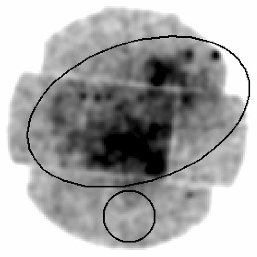 The EPIC-MOS2 image. The ellipse apertures (13.5 × 8.2 arcmin, major and minor axes, respectively) show the extension of the diffuse X-ray emission from SNR W51C. The circle (with radius 2.5 arcmin) shows the extraction region of the background spectrum.